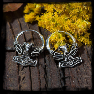 Strieborné náušnice MJOLNIR 2 kruh