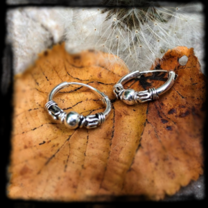 Strieborné náušnice Kruhy s guličkou, Ø 1.0 cm