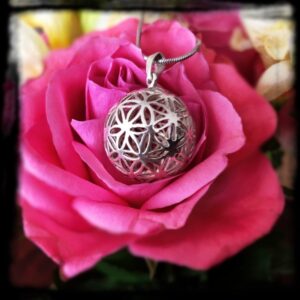 Strieborný prívesok ROSEANNA